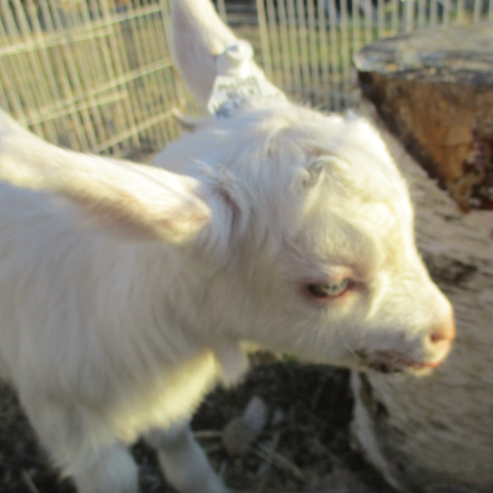 Meet your Posher, Jonah